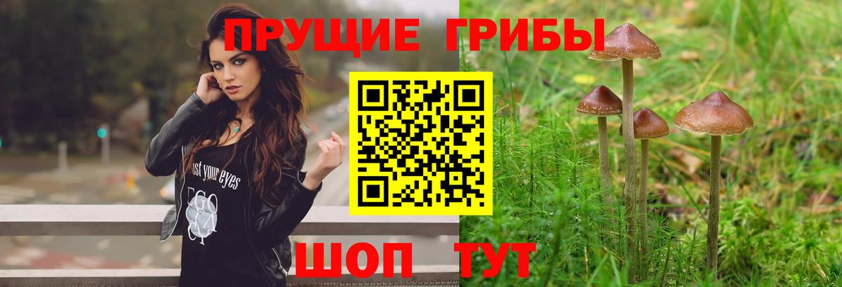 Псилоцибиновые грибы Cubensis  Псилоцибиновые грибы ЛСД  Ейск  Вход с VPN 